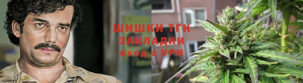 индика Алексеевка