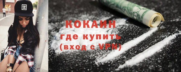 тгк Алексин