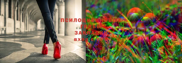 индика Алексеевка