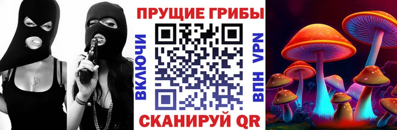 цена наркотик  Ясный  Галлюциногенные грибы Magic Shrooms 